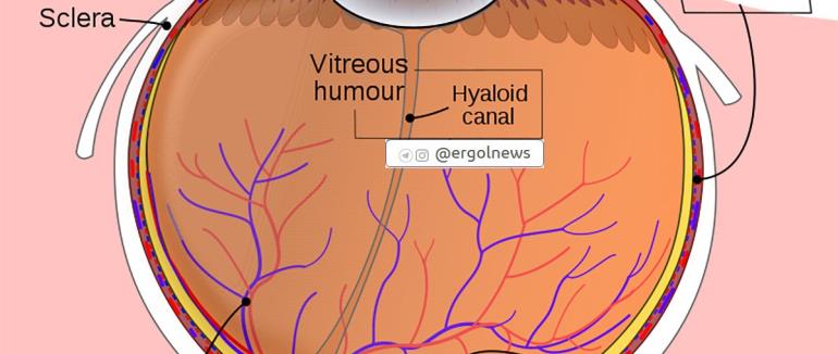 چشم انسان چند مگاپیکسل است؟